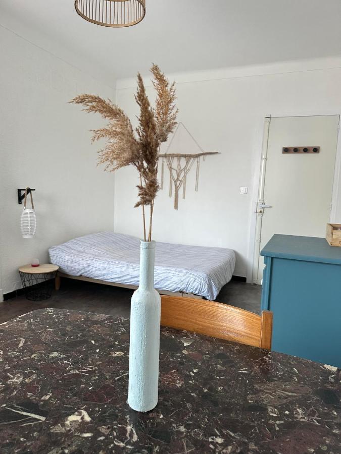 Apartmán Charmant Studio Lumineux Florida Plage Canet-en-Roussillon Exteriér fotografie